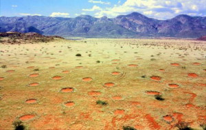 800px-Feenkreise_Namibia