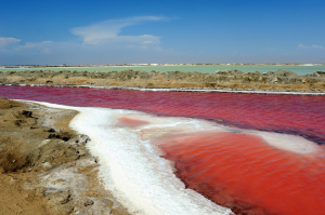 walvis_bay_110209_82namibia